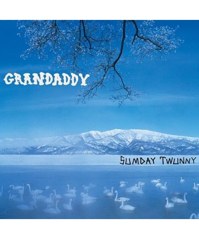 Grandaddy Sumday: Twunny (LP) Vinyl Record $42.40 Vinyl