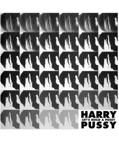 Harry Pussy LET'S BUILD A PUSSY Vinyl Record $9.27 Vinyl