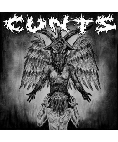 Cunts Vinyl Record $8.69 Vinyl