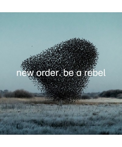 New Order Be a Rebel Vinyl Record $7.20 Vinyl