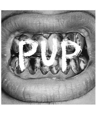 PUP Vinyl Record $10.25 Vinyl