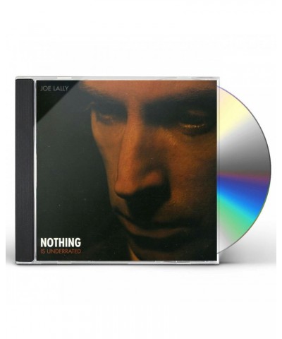Joe Lally NOTHING IS UNDERRATED CD $4.35 CD