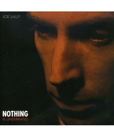 Joe Lally NOTHING IS UNDERRATED CD $4.35 CD