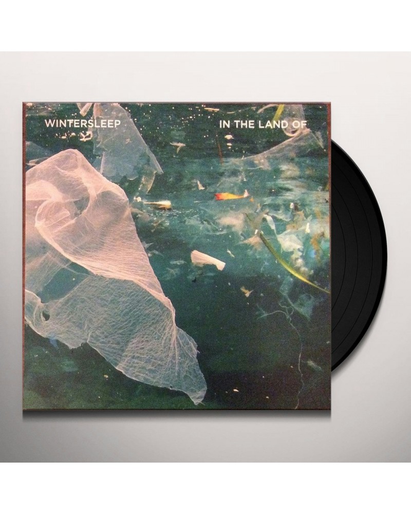 Wintersleep In The Land Of Vinyl Record $10.15 Vinyl