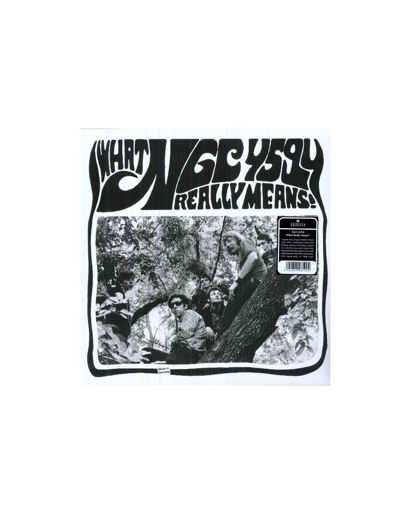NGC-4594 WHAT REALLY MEANS Vinyl Record $13.68 Vinyl