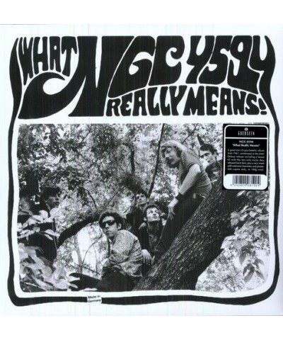 NGC-4594 WHAT REALLY MEANS Vinyl Record $13.68 Vinyl